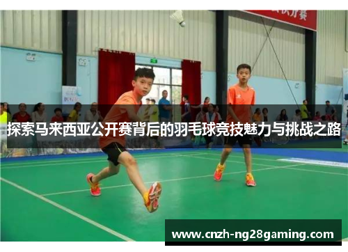 探索马来西亚公开赛背后的羽毛球竞技魅力与挑战之路
