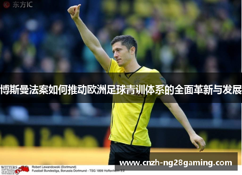 博斯曼法案如何推动欧洲足球青训体系的全面革新与发展