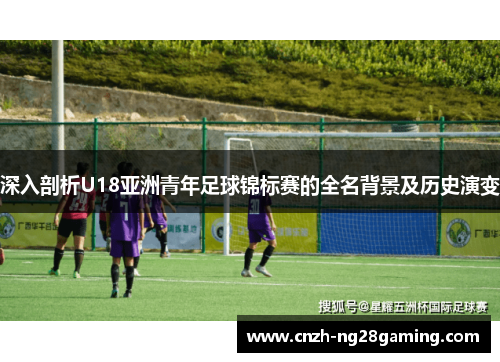 深入剖析U18亚洲青年足球锦标赛的全名背景及历史演变
