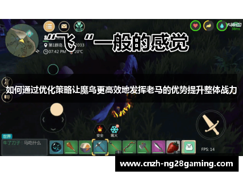 如何通过优化策略让魔鸟更高效地发挥老马的优势提升整体战力