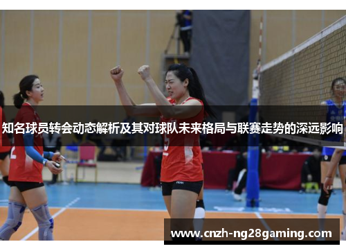 知名球员转会动态解析及其对球队未来格局与联赛走势的深远影响