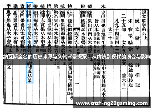 纳瓦斯全名的历史渊源与文化背景探索：从传统到现代的演变与影响