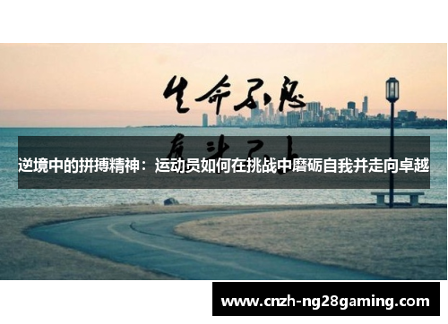 逆境中的拼搏精神：运动员如何在挑战中磨砺自我并走向卓越