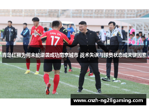 青岛红狮为何未能逆袭成功南京城市 战术失误与球员状态成关键因素