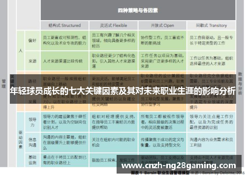 年轻球员成长的七大关键因素及其对未来职业生涯的影响分析