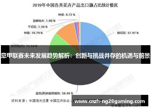 意甲联赛未来发展趋势解析：创新与挑战并存的机遇与前景