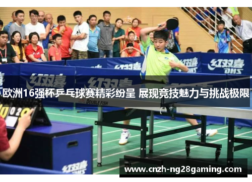 欧洲16强杯乒乓球赛精彩纷呈 展现竞技魅力与挑战极限