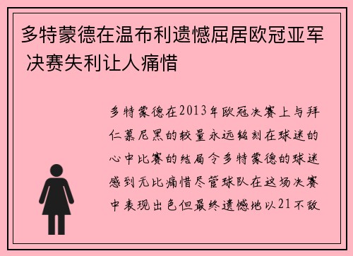 多特蒙德在温布利遗憾屈居欧冠亚军 决赛失利让人痛惜 多特蒙德在温布利遗憾屈居欧冠亚军 决赛失利让人痛惜