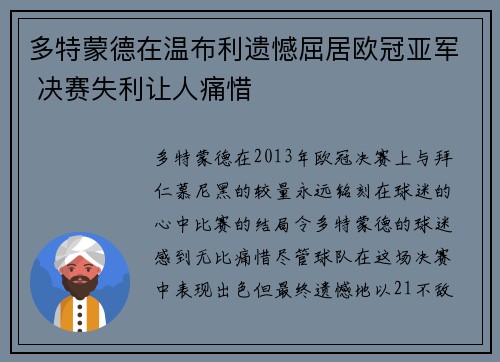 多特蒙德在温布利遗憾屈居欧冠亚军 决赛失利让人痛惜 多特蒙德在温布利遗憾屈居欧冠亚军 决赛失利让人痛惜